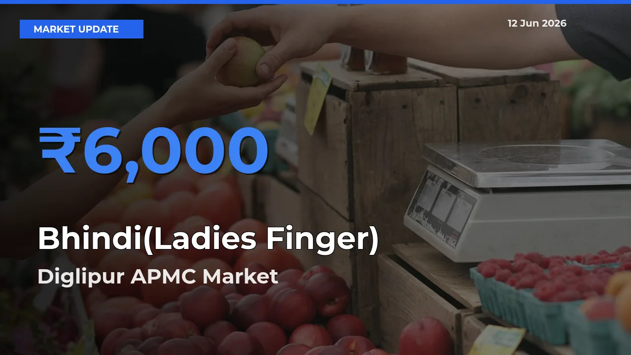 Diglipur APMC Tops Bhindi(Ladies Finger) Mandi Rates Today