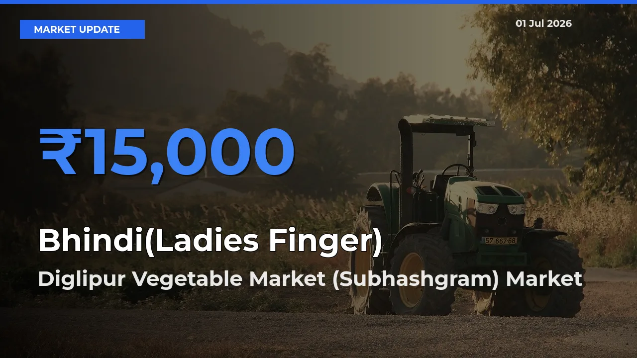Diglipur Vegetable Market (Subhashgram) Emerges as Top Mandi for Bhindi(Ladies Finger) Prices Today