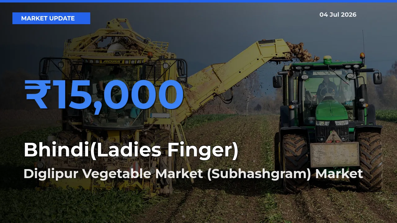Diglipur Vegetable Market (Subhashgram) Tops Bhindi(Ladies Finger) Mandi Rates Today