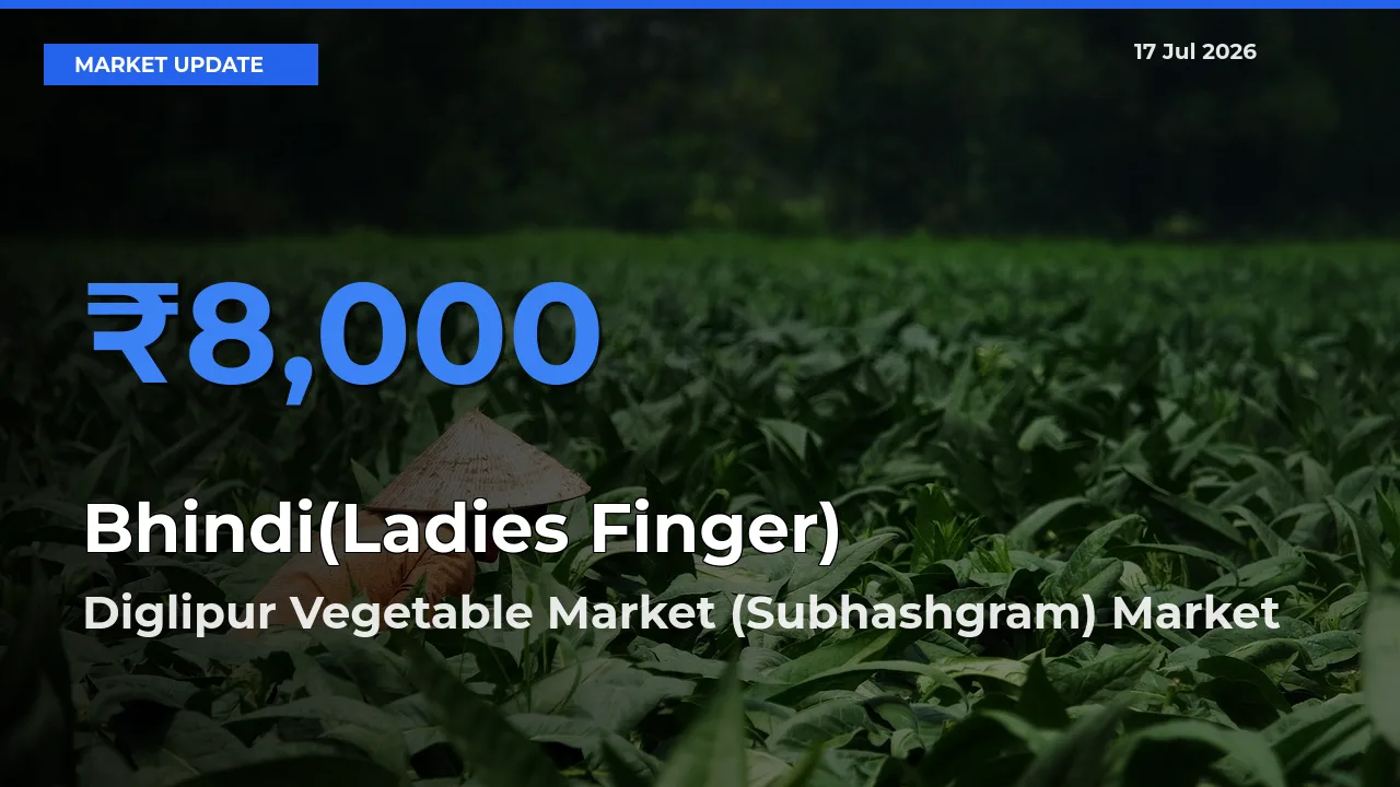 Market Watch: Diglipur Vegetable Market (Subhashgram) Becomes Top Mandi for Bhindi(Ladies Finger)