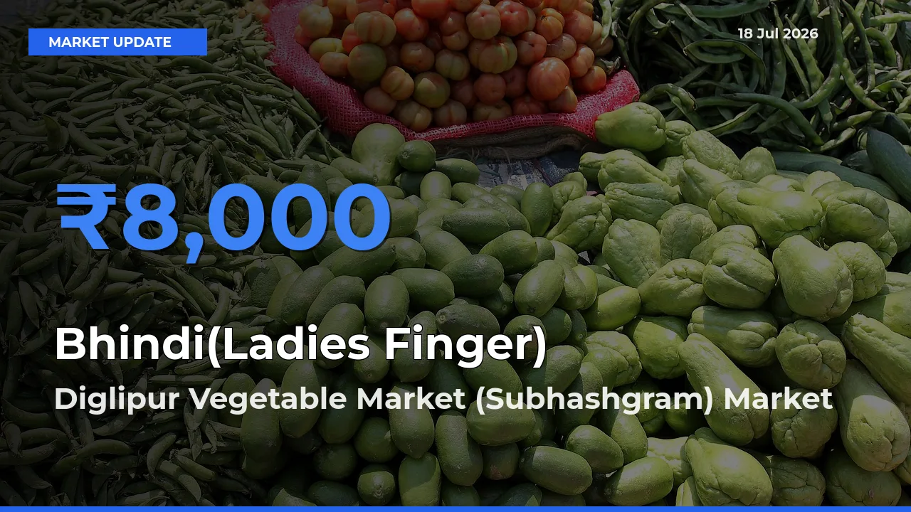 Diglipur Vegetable Market (Subhashgram) Tops Bhindi(Ladies Finger) Mandi Rates Today