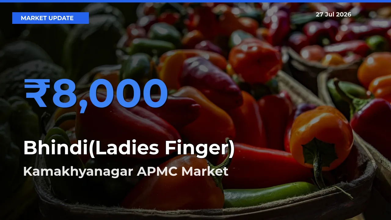 Kamakhyanagar APMC, Dhenkanal, Odisha Records Highest ₹8,000 Rate for Bhindi(Ladies Finger)