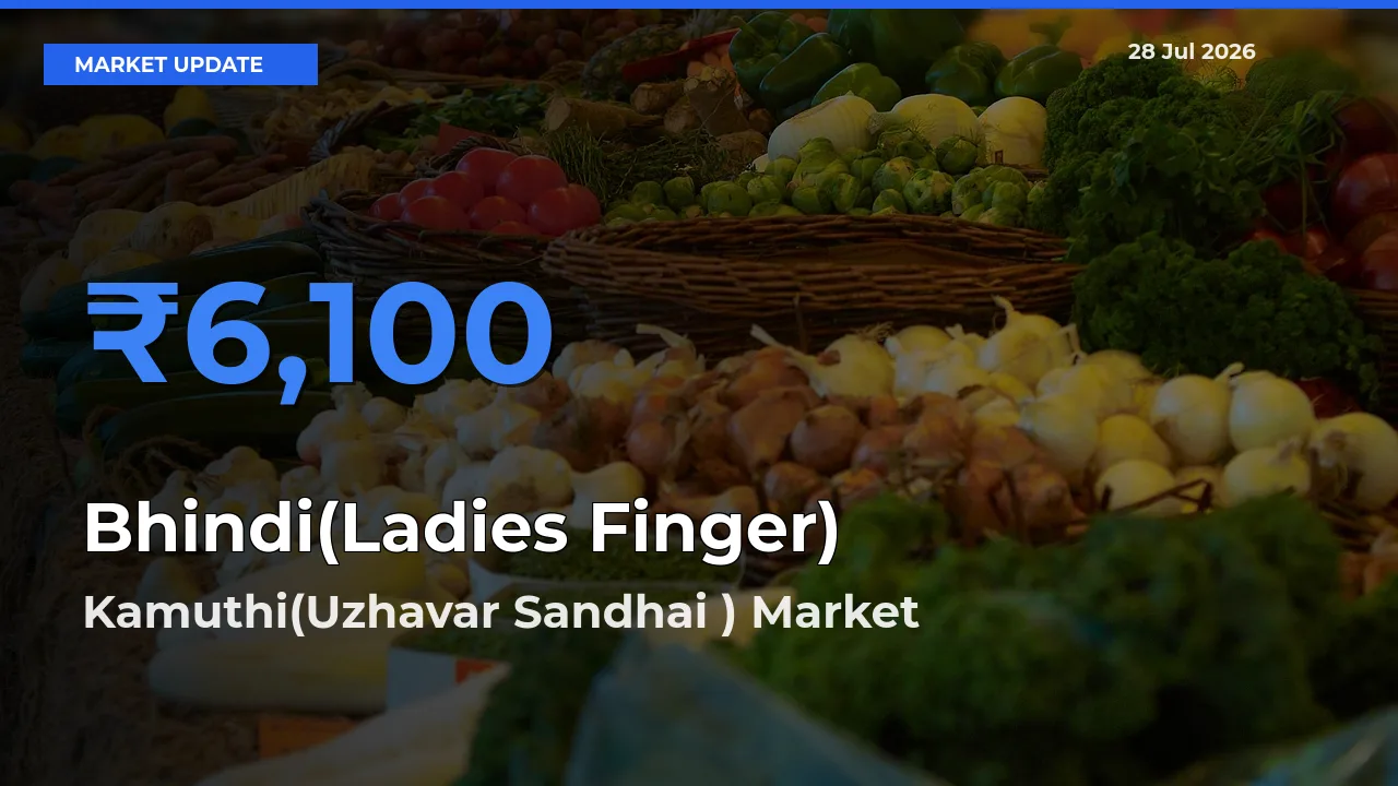 Market Watch: Kamuthi(Uzhavar Sandhai ), Ramanathapuram, Tamil Nadu Becomes Top Mandi for Bhindi(Ladies Finger)