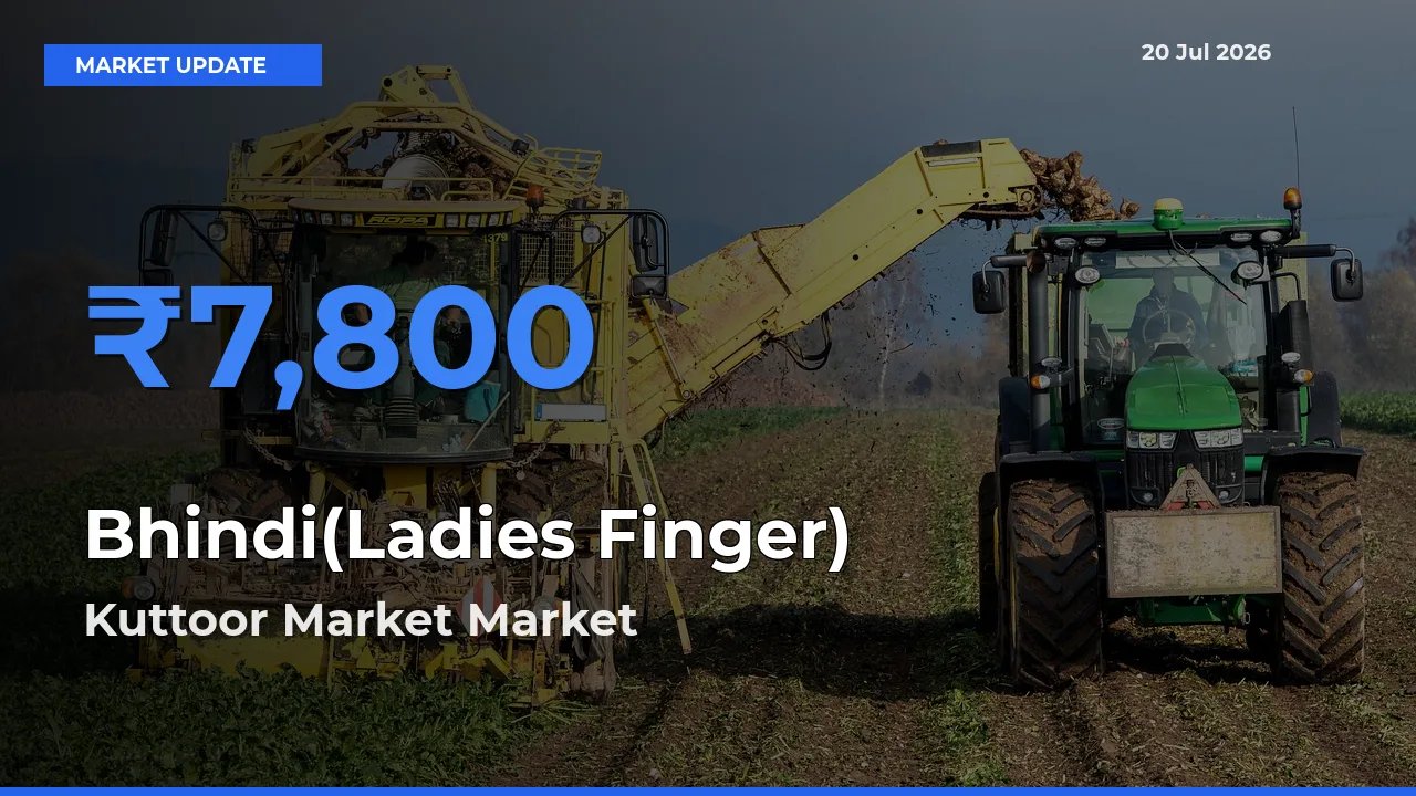 Kuttoor Market Tops Bhindi(Ladies Finger) Mandi Rates Today