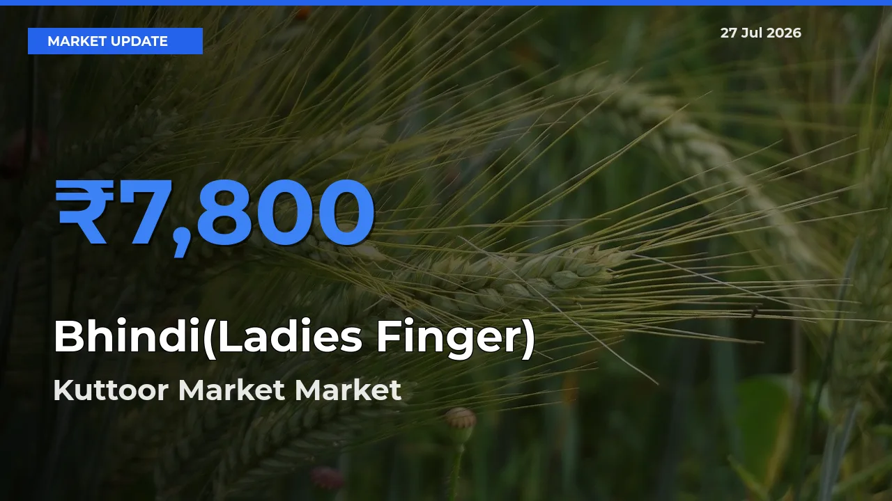 Farmers Prefer Kuttoor Market, Pathanamthitta, Keralam as Bhindi(Ladies Finger) Hits Highest Rate