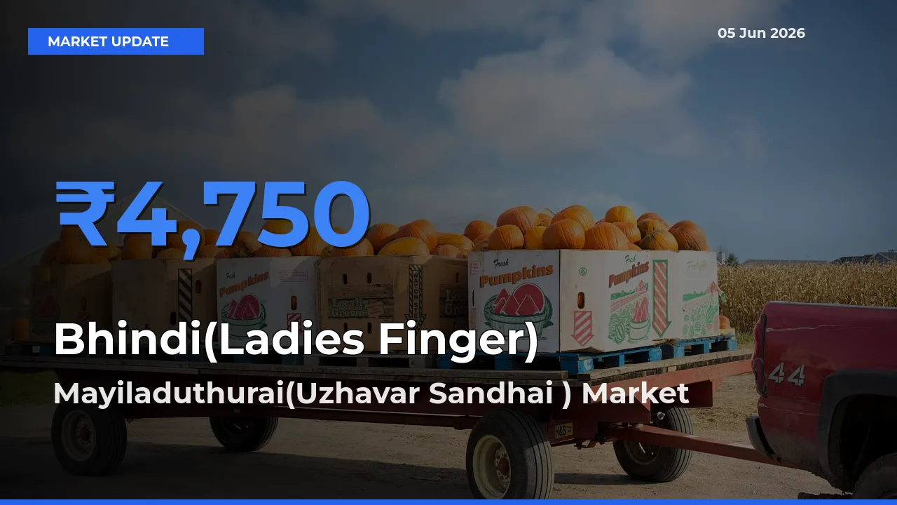 Mayiladuthurai(Uzhavar Sandhai ) Leads as Top Mandi for Bhindi(Ladies Finger) Prices