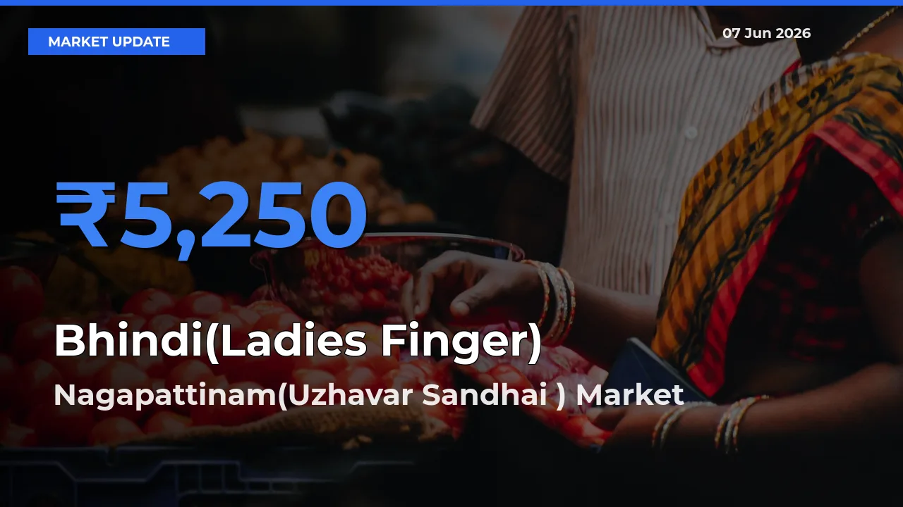 Nagapattinam(Uzhavar Sandhai ) Tops Bhindi(Ladies Finger) Rates – June 07 Market Update