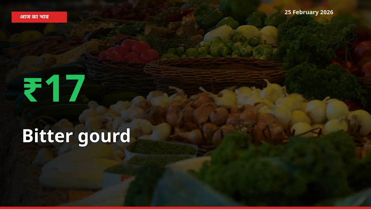 Bitter gourd के दाम प्रमुख मंडी में 17.24% बढ़े, 24 घंटे में बड़ा बदलाव