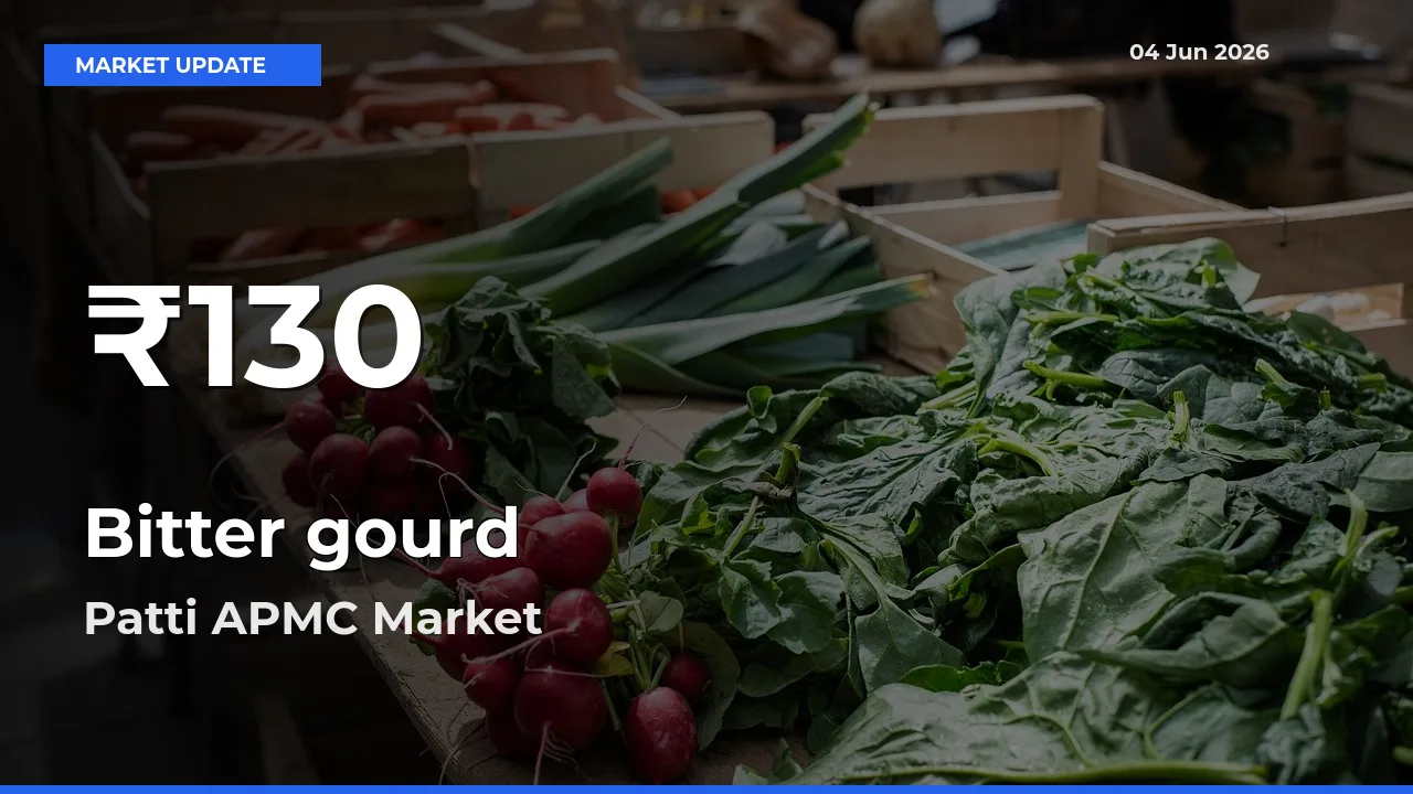 Bitter gourd Falls to ₹130 in Patti APMC – 30-Day Lowest Rate