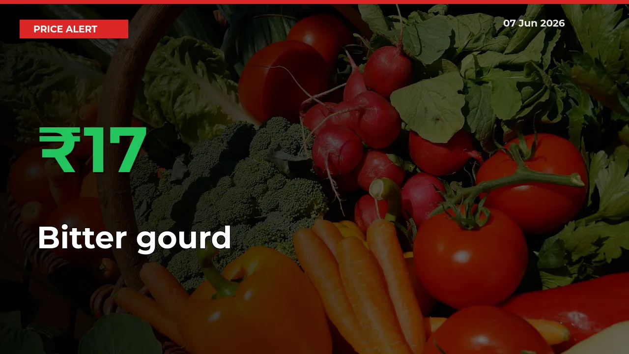 Sharp Jump! Bitter gourd Prices Climb 17.29% in 24 Hours at Key Mandis