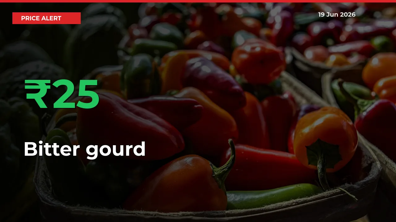 Bitter gourd Mandi Rate Today: Prices Jump 24.7% at Market