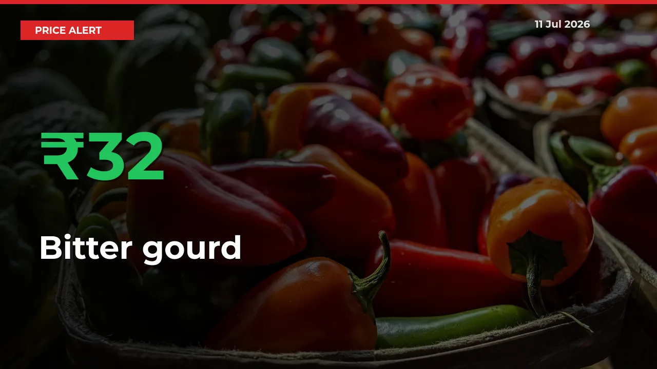 Sharp Jump! Bitter gourd Prices Climb 32.15% in 24 Hours at Key Mandis