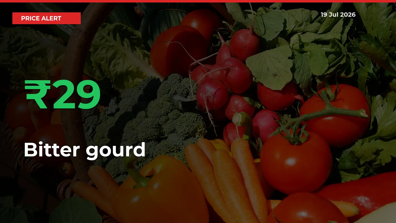 This Mandi Records 28.96% Jump in Bitter gourd Prices