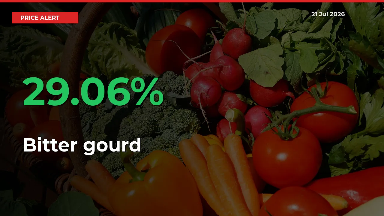 Bitter gourd Mandi Rate Today: Prices Jump 29.06% at Market