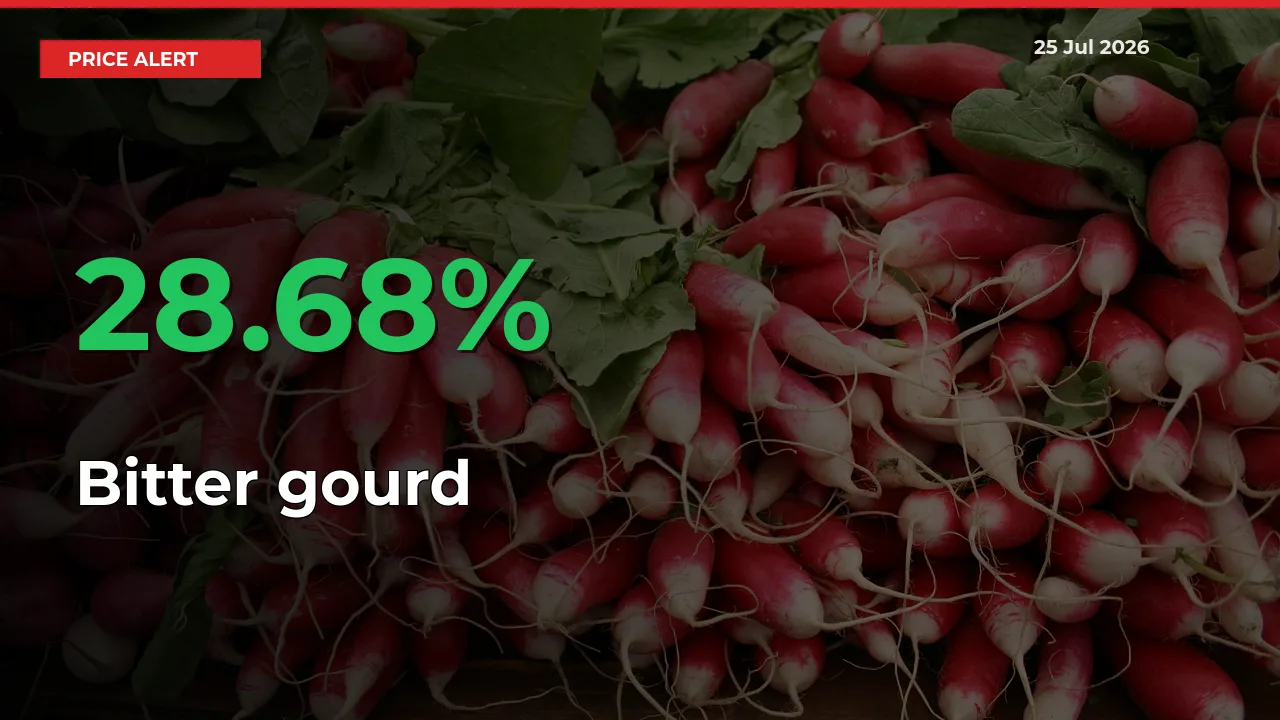Farmers Cheer as Bitter gourd Prices Surge 28.68% in Local Mandis