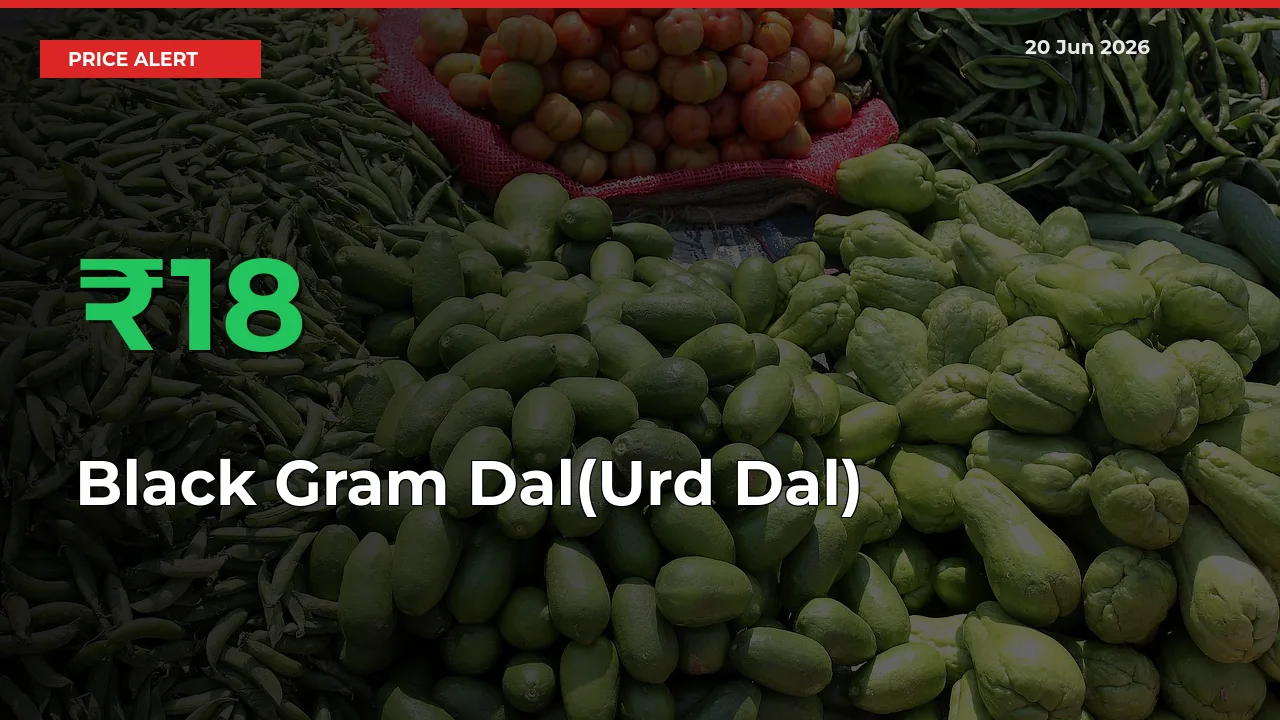 This Mandi Records 18.25% Jump in Black Gram Dal(Urd Dal) Prices