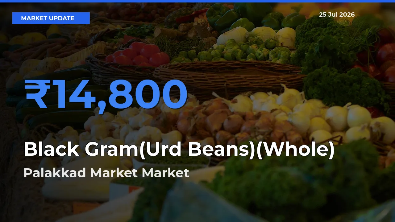 Palakkad Market Records Highest ₹14,800 Rate for Black Gram(Urd Beans)(Whole)