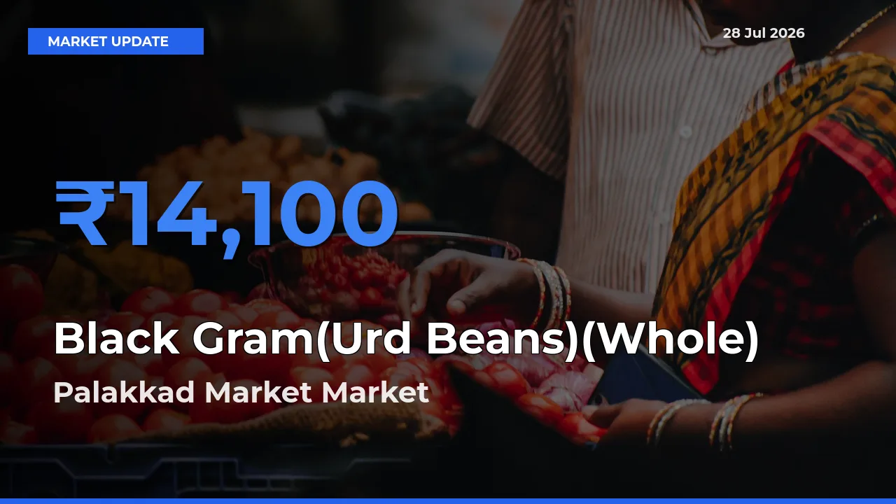 Palakkad Market, Palakad, Keralam Records Highest ₹14,100 Rate for Black Gram(Urd Beans)(Whole)