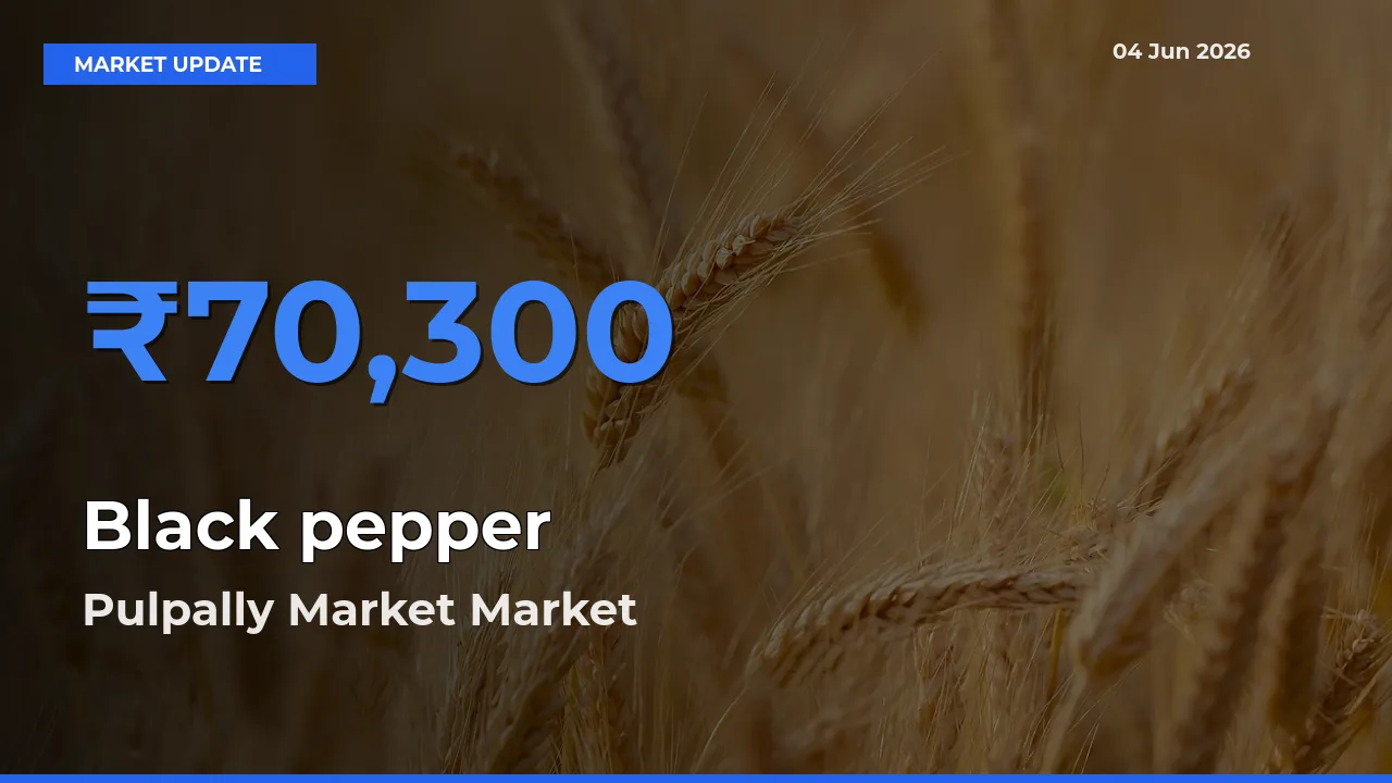 Pulpally Market Tops Black pepper Rates – June 04 Market Update