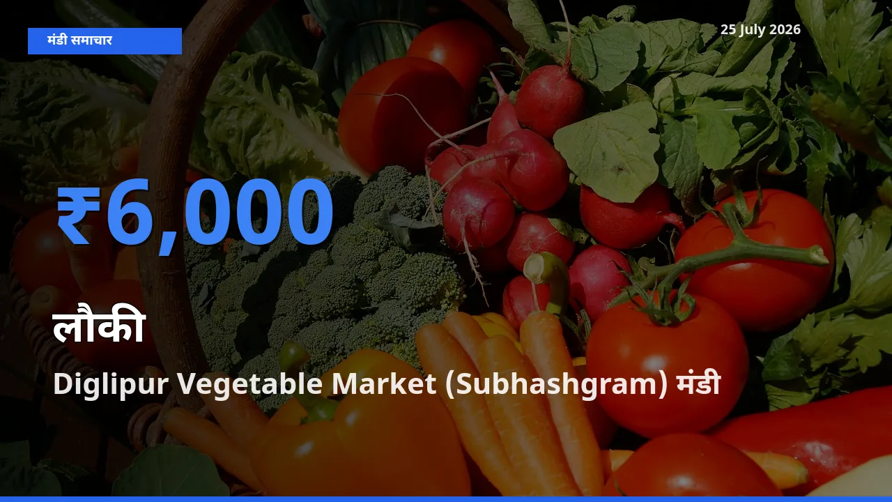 आज लौकी के सबसे ज़्यादा दाम Diglipur Vegetable Market (Subhashgram) मंडी में दर्ज