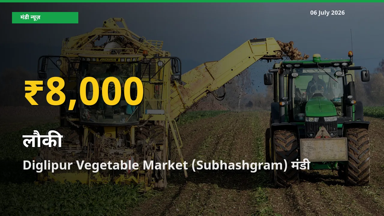 लौकी के भावों में जबरदस्त उछाल, Diglipur Vegetable Market (Subhashgram) में नया उच्च स्तर