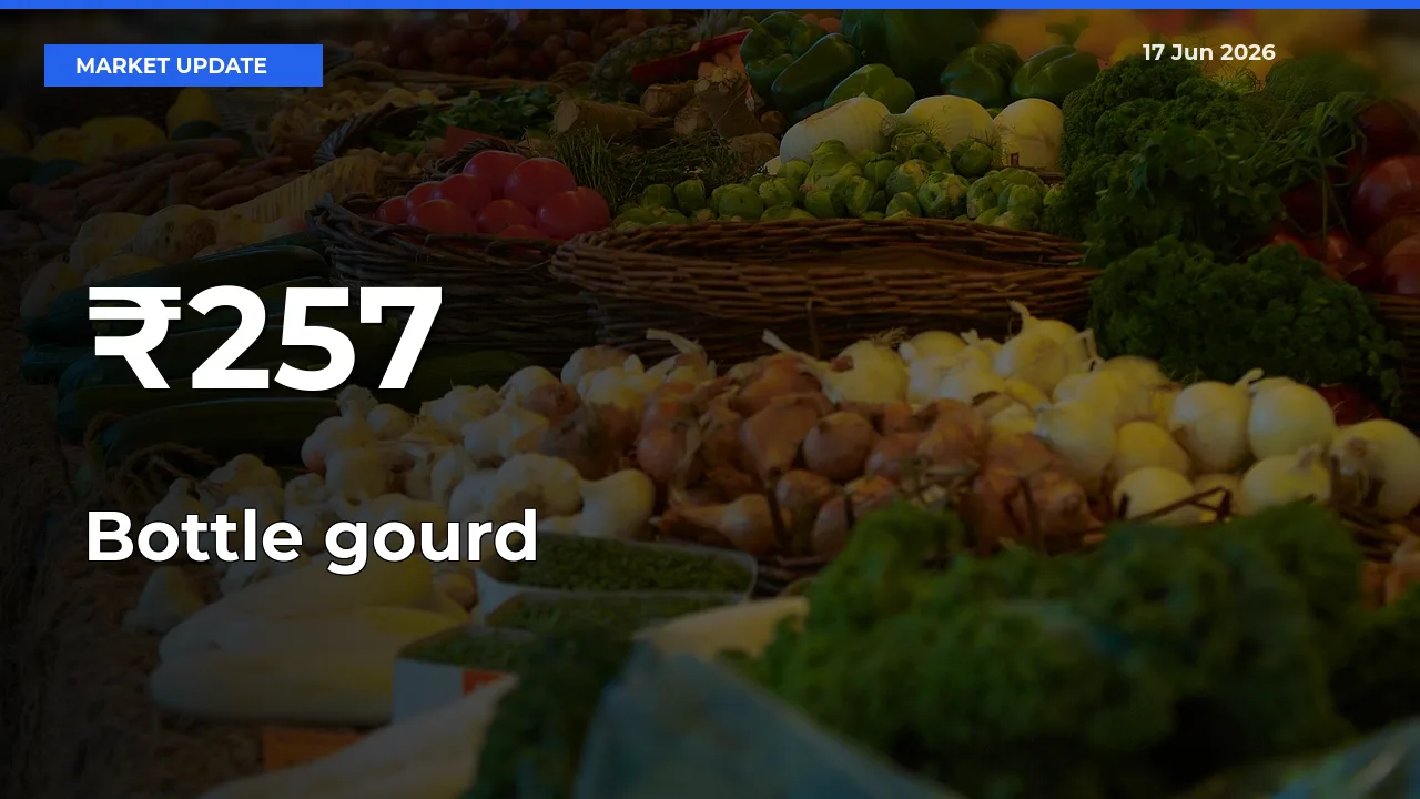 Bottle gourd Mandi Trend Today: Prices Shift Across Multiple Markets