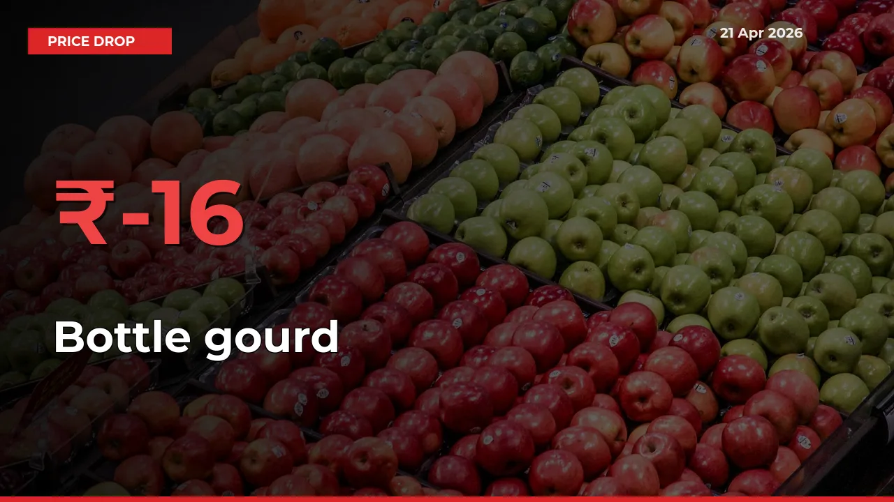 This Mandi Records 16.46% Fall in Bottle gourd Prices