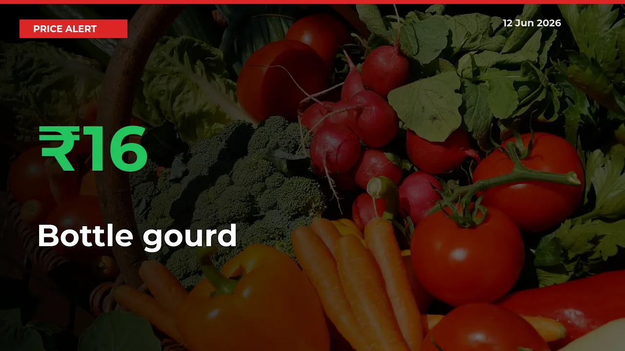 Bottle gourd Rises 15.79% at Mandis