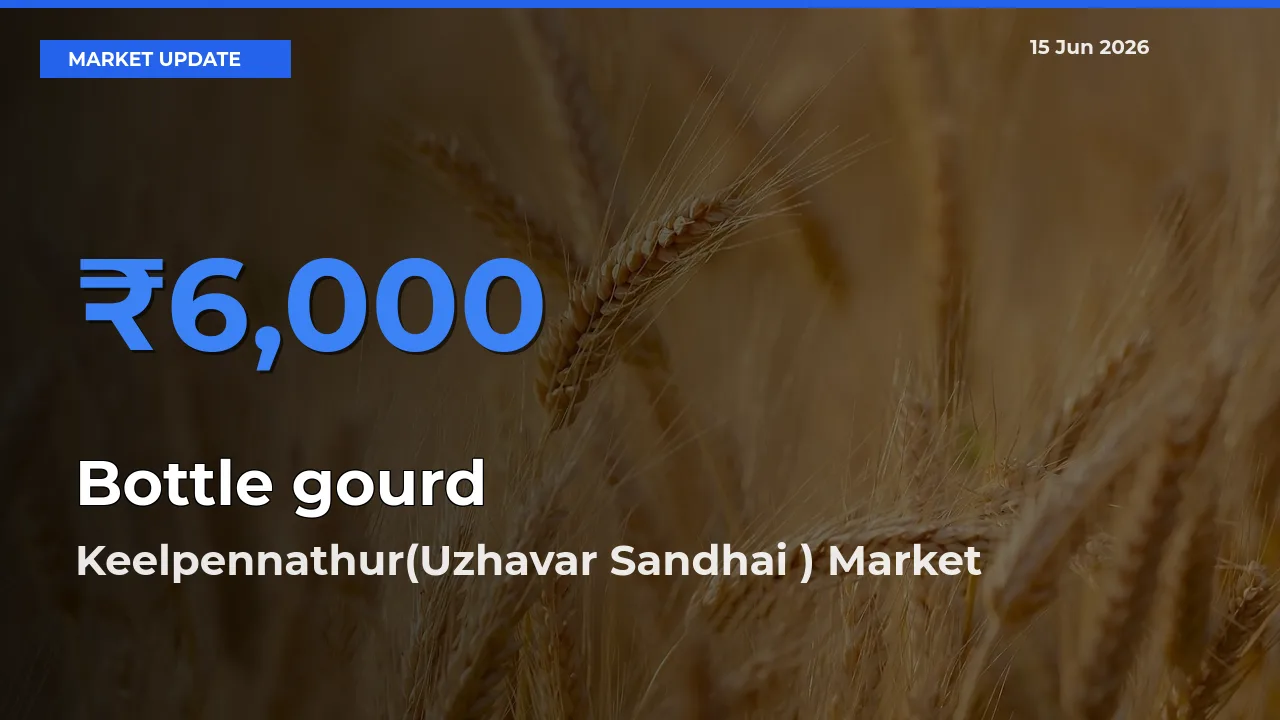 Keelpennathur(Uzhavar Sandhai ) Tops Bottle gourd Mandi Rates Today