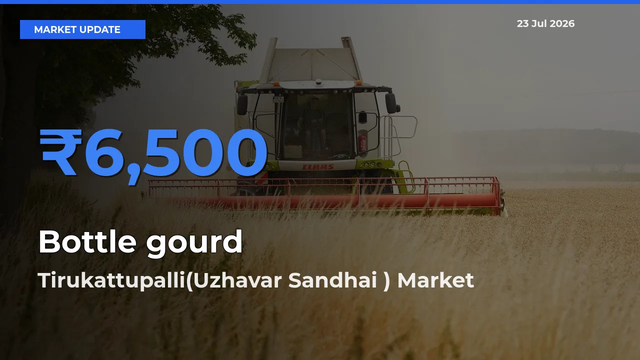 Tirukattupalli(Uzhavar Sandhai ) Emerges as Top Mandi for Bottle gourd Prices Today