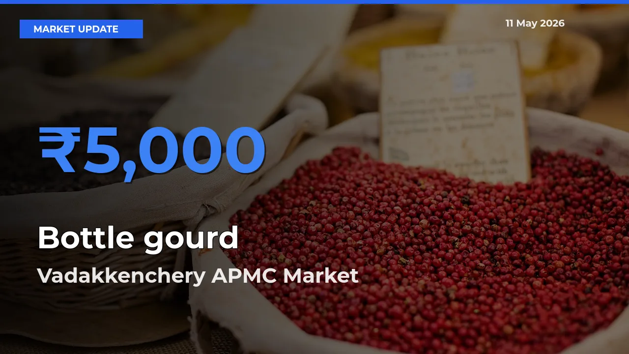 Vadakkenchery APMC Tops Bottle gourd Mandi Rates Today