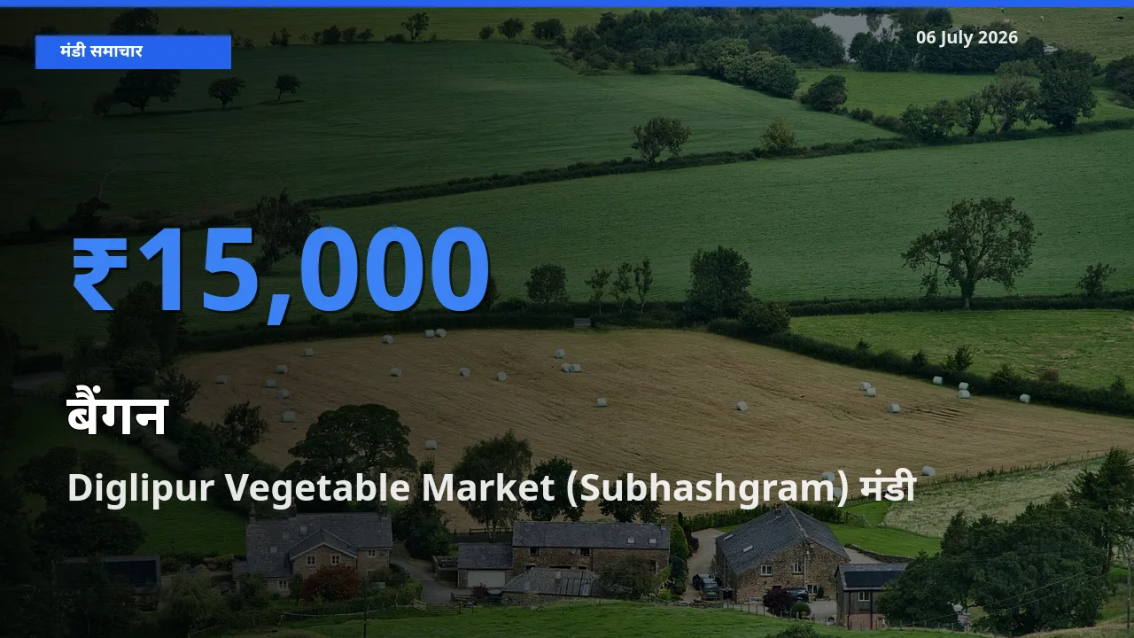 Diglipur Vegetable Market (Subhashgram) में बैंगन का आज सबसे ऊँचा भाव
