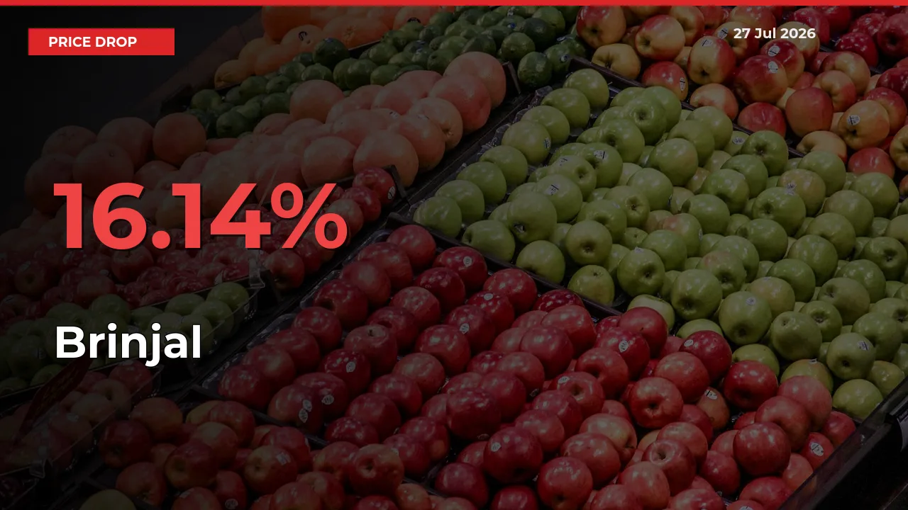 Brinjal Mandi Rate Today: Prices Fall 16.14% at Market