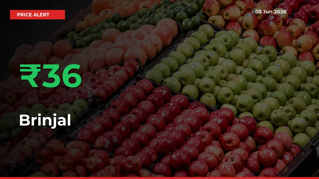 Big Rally! Brinjal Climbs 35.73% in 24 Hours at Top Mandis
