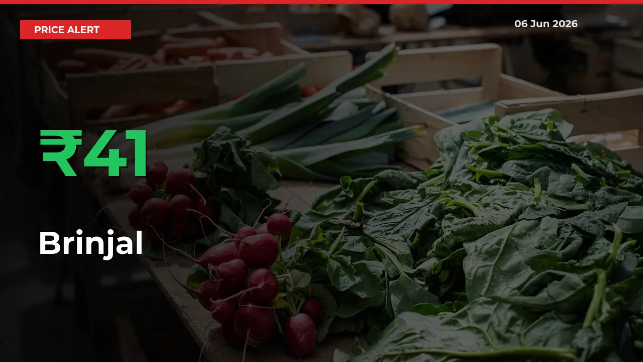 Brinjal Rises 40.51% at Mandis