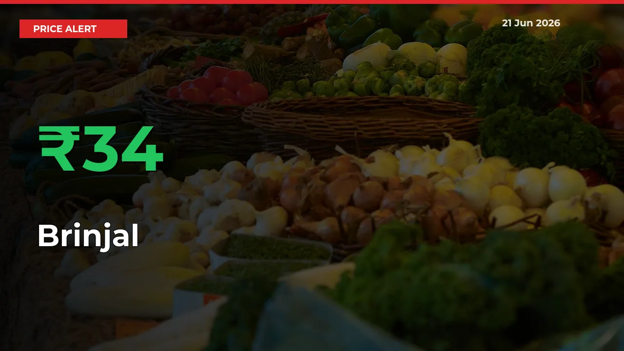 Brinjal Prices Rise 33.91% in a Day at Major Mandis