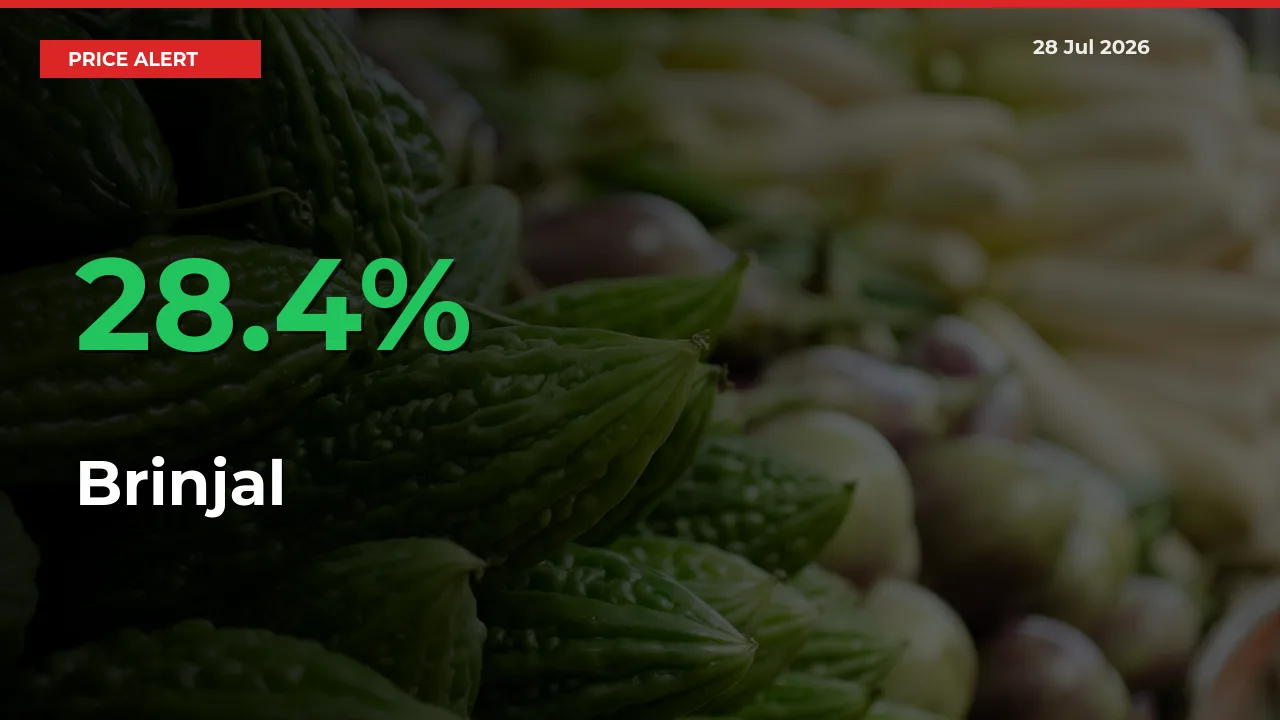 Sudden 28.4% Rally in Brinjal Prices Across Mandis