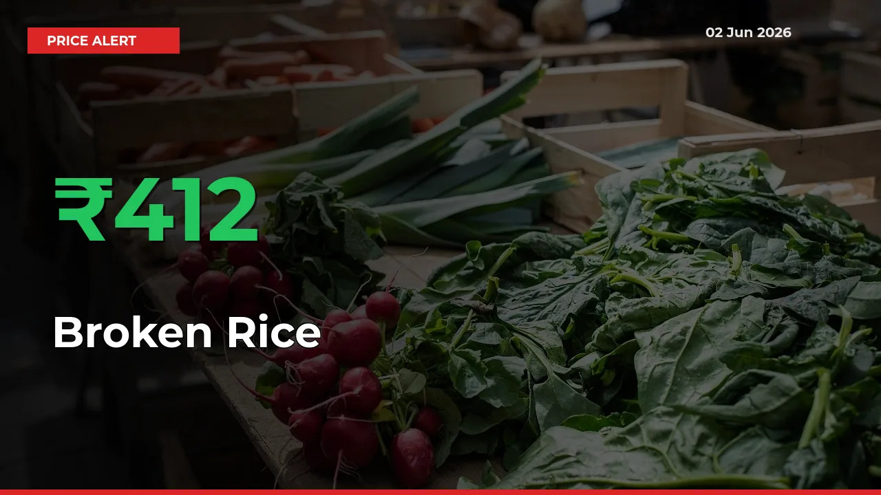 Big Rally! Broken Rice Climbs 412.17% in 24 Hours at Top Mandis