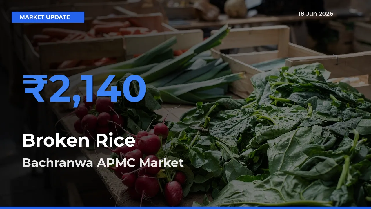 Broken Rice Mandi Rate Today: Bachranwa APMC Tops the List