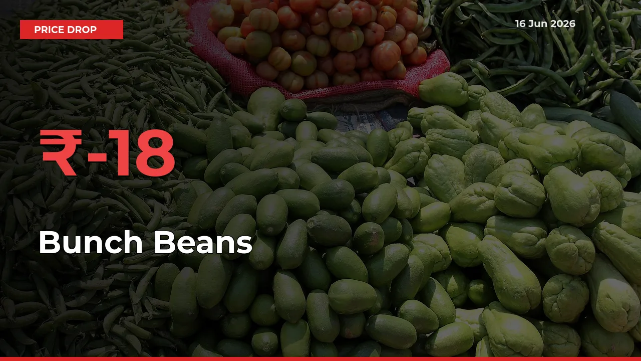Sharp Fall! Bunch Beans Prices Plunge 18.15% in a Day at Key Mandis