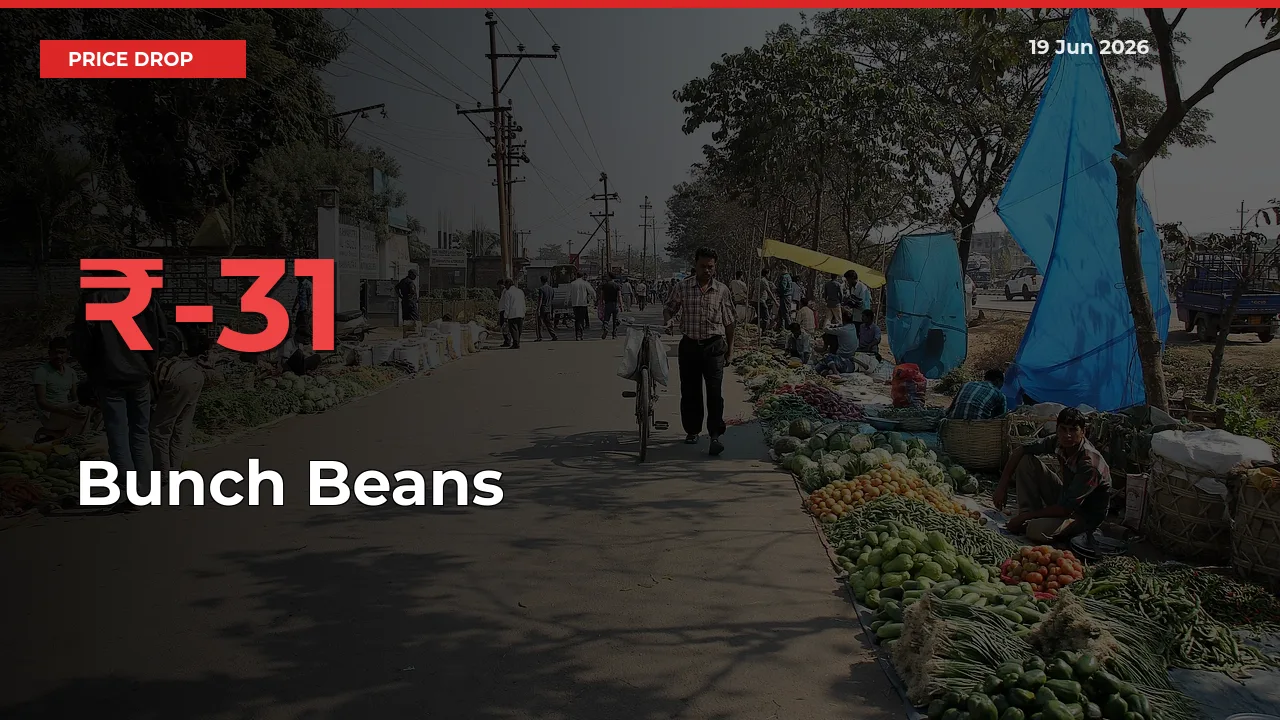 Bunch Beans Prices Drop 30.77% – June 19 Market Update from Mandis