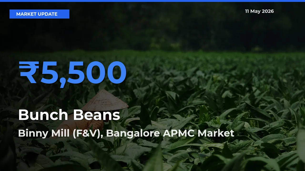 Binny Mill (F&V), Bangalore APMC Records Highest ₹5,500 Rate for Bunch Beans