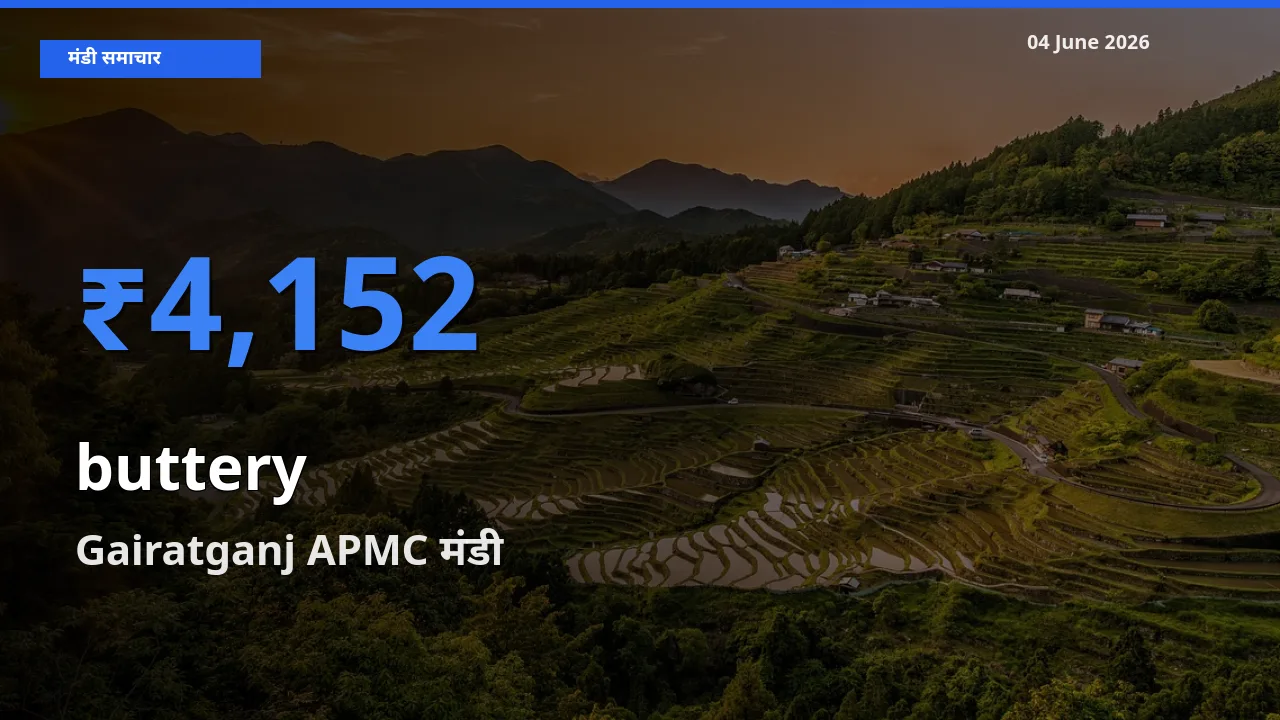 आज कोमलता से के सबसे ऊँचे दाम ₹4,152 Gairatganj APMC मंडी में