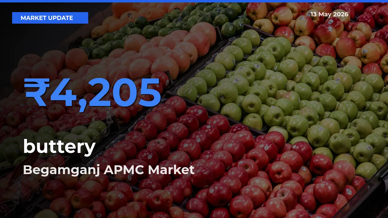 Begamganj APMC Emerges as Top Mandi for buttery Prices Today