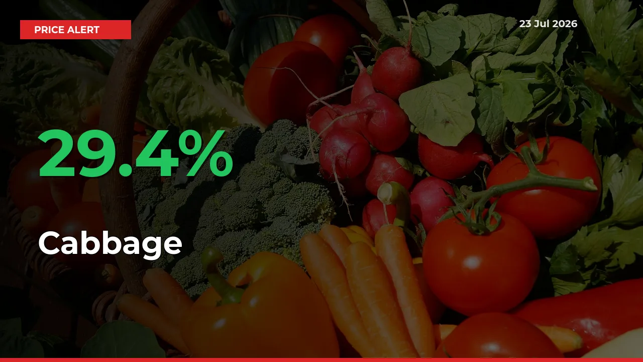 Big Rally! Cabbage Climbs 29.4% in 24 Hours at Top Mandis