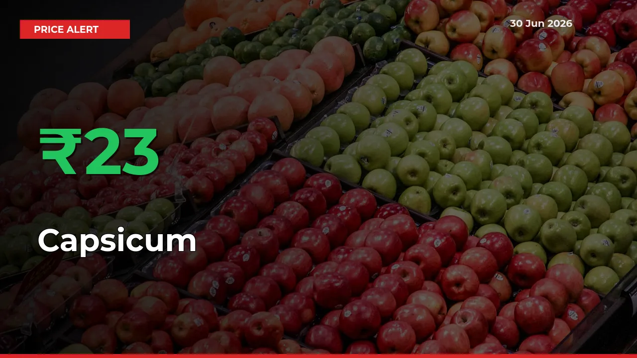 Sharp Jump! Capsicum Prices Climb 22.91% in 24 Hours at Key Mandis