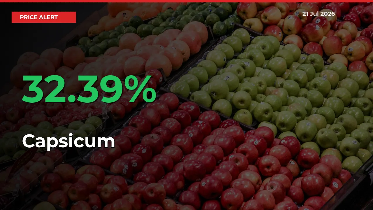 This Mandi Records 32.39% Jump in Capsicum Prices