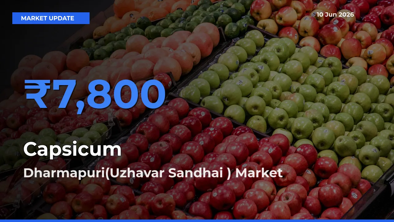 Dharmapuri(Uzhavar Sandhai ) Tops Capsicum Mandi Rates Today