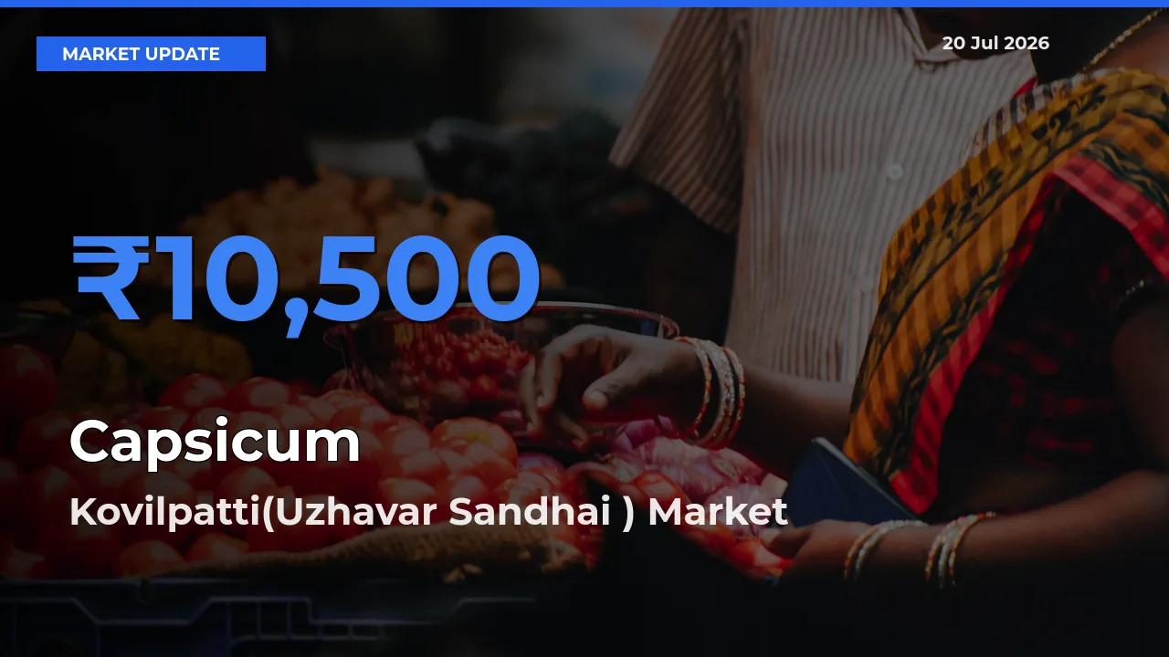 Kovilpatti(Uzhavar Sandhai ) Tops Capsicum Mandi Rates Today