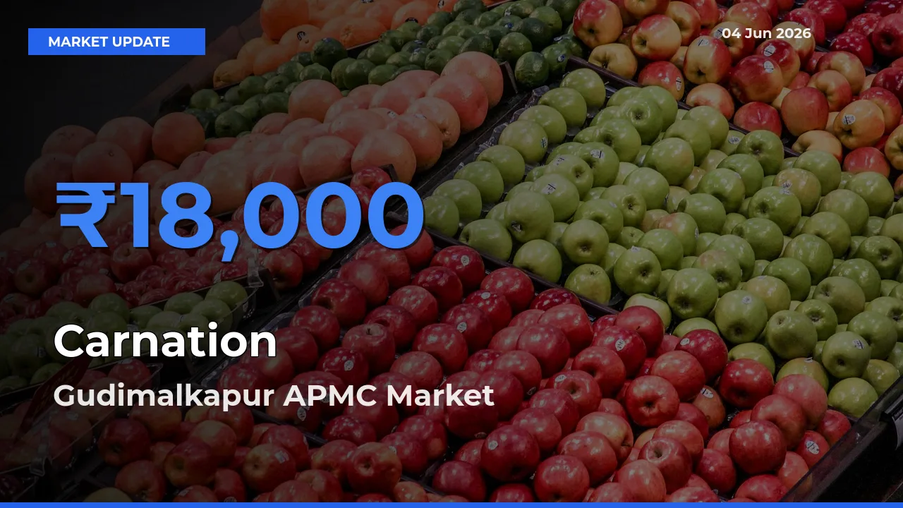Gudimalkapur APMC Leads as Top Mandi for Carnation Prices